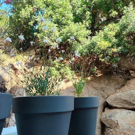 Appartement Confort à L'ile-rousse