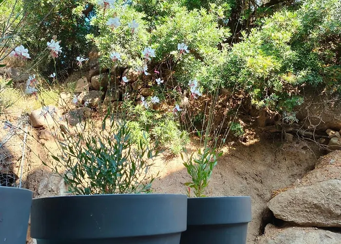 Apartament Confort A L'ile-rousse